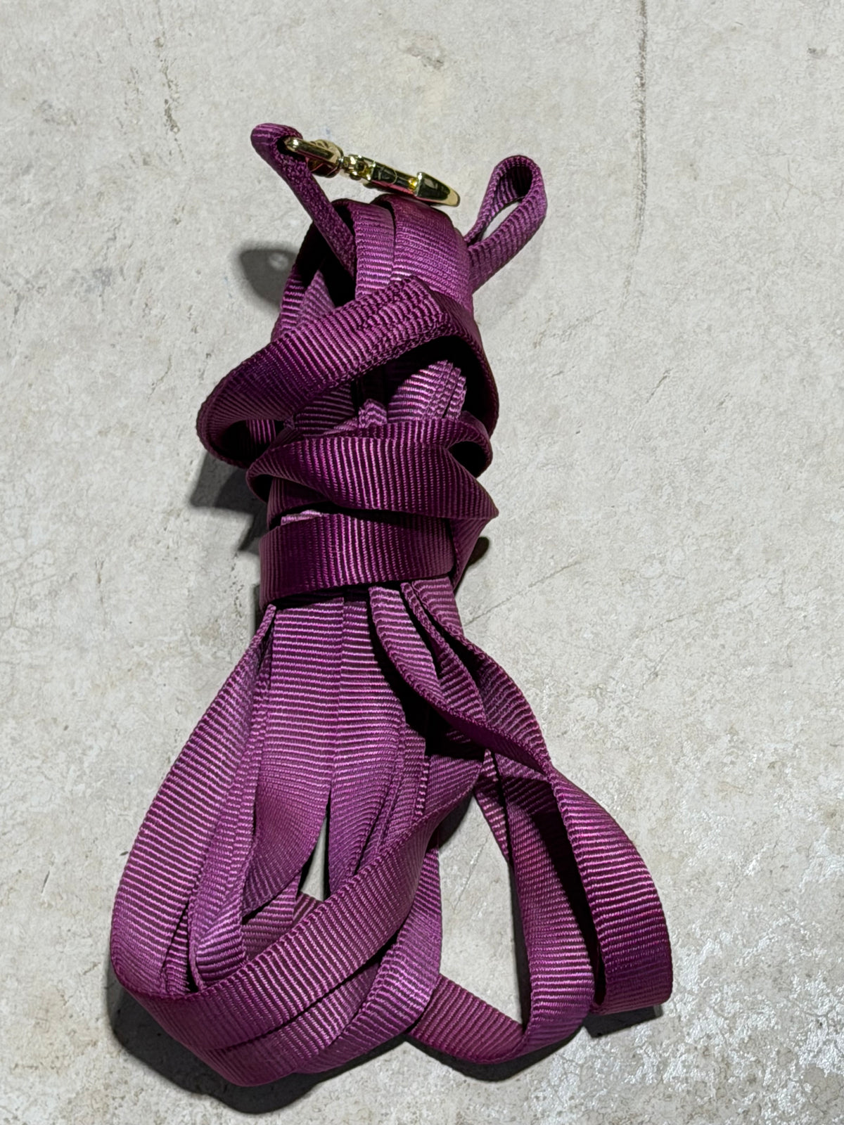 Elite Lunge Line • Wine • 26’ • Lightly Used