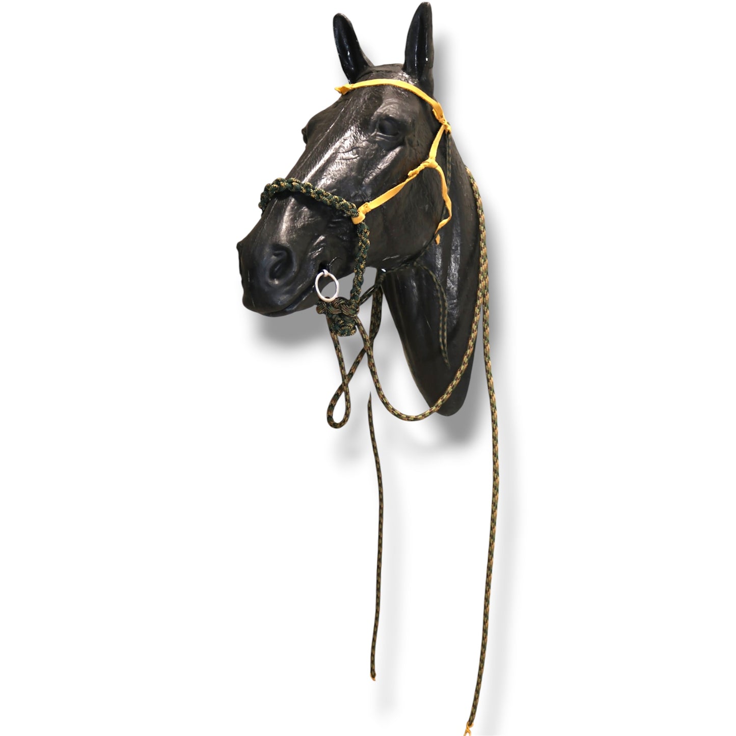SCR Braided Loping Hackamore Set