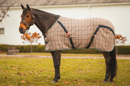 Used 5/A Baker Horse Stable Sheet – 78”