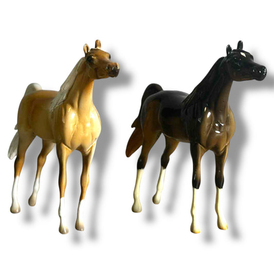 Peterstone Chip Arabian (Sold Individually)