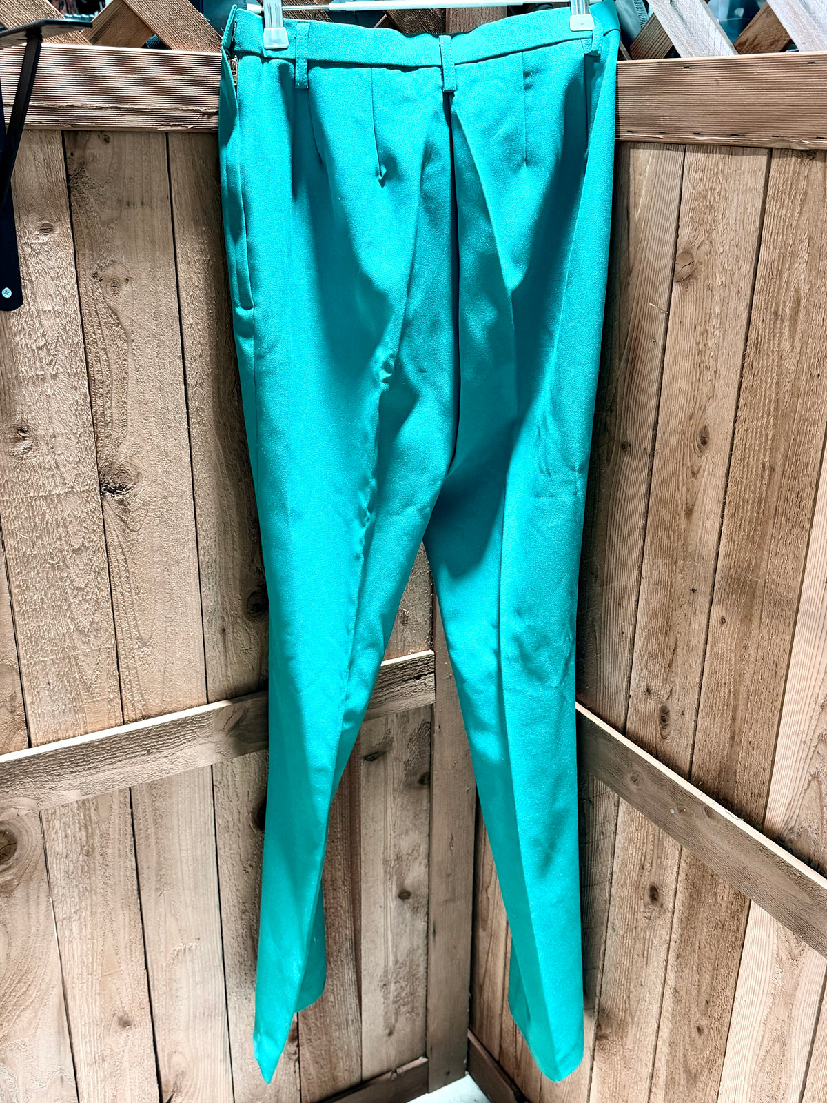 Hobby Horse Teal Show Pants • Size 26 Waist • Used Once