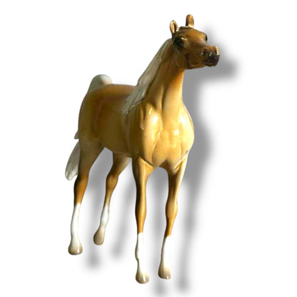 Peterstone Chip Arabian (Sold Individually)