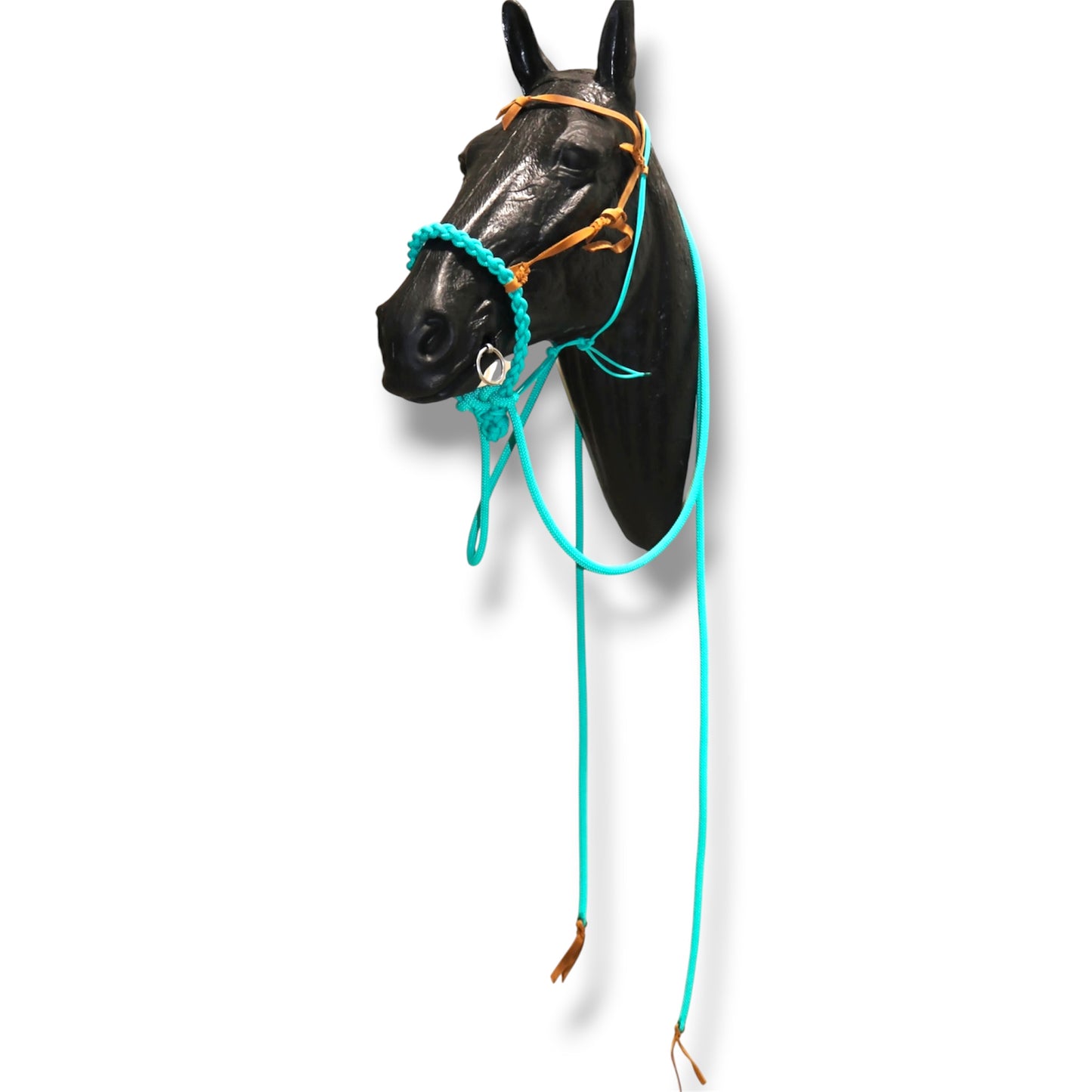 SCR Braided Loping Hackamore Set