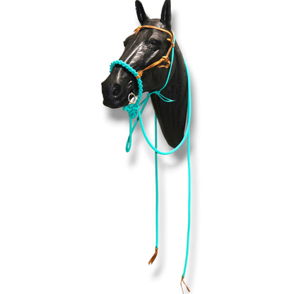 SCR Braided Loping Hackamore Set