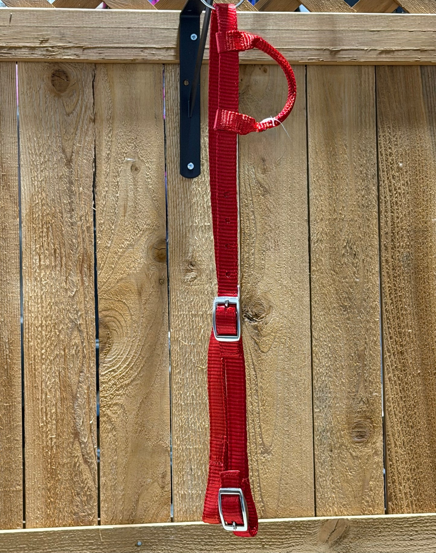 Nylon Single Ear Headstall with Quick Change Buckle Ends – Red