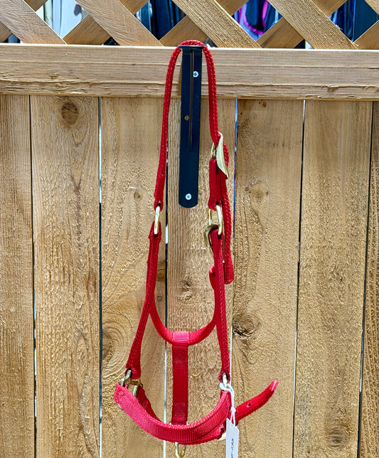 Weaver ¾” Nylon Halter – Medium Arabian – Red