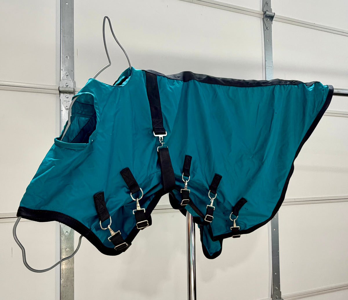Used Nylon Stable Hood – Medium – Teal & Black