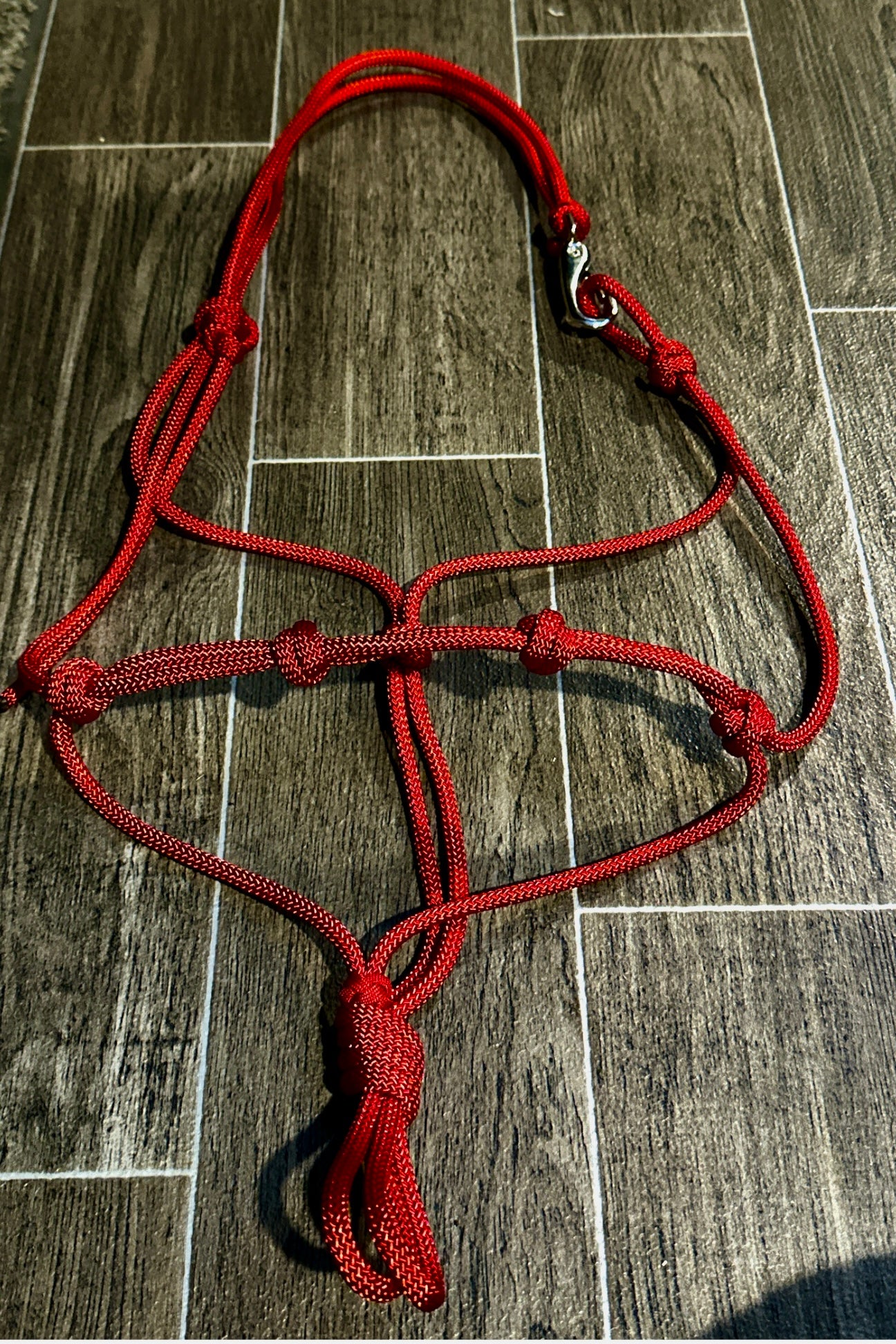 The Quick Clip Rope Halter - Cob