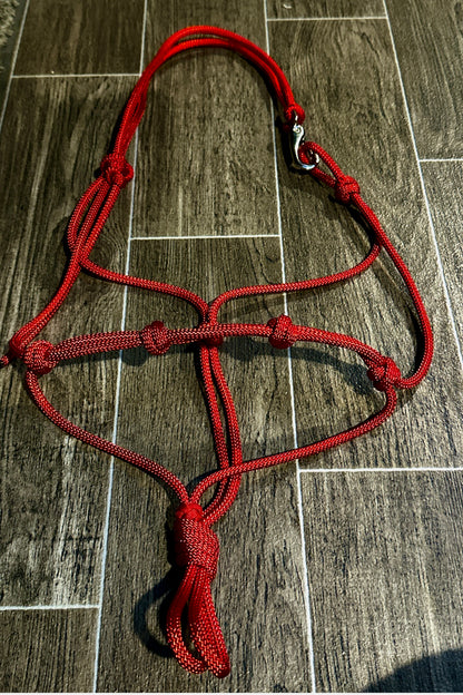 The Quick Clip Rope Halter - Cob