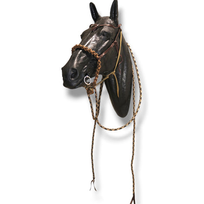 SCR Braided Loping Hackamore Set