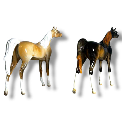Peterstone Chip Arabian (Sold Individually)