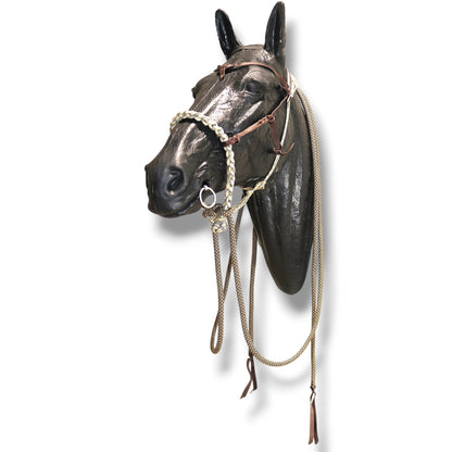 SCR Braided Loping Hackamore Set