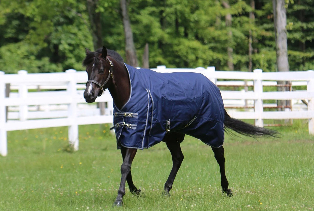 Used StormShield Classic II High-Neck Euro Surcingle Turnout Mid-Weight – 76” – Navy & Silver