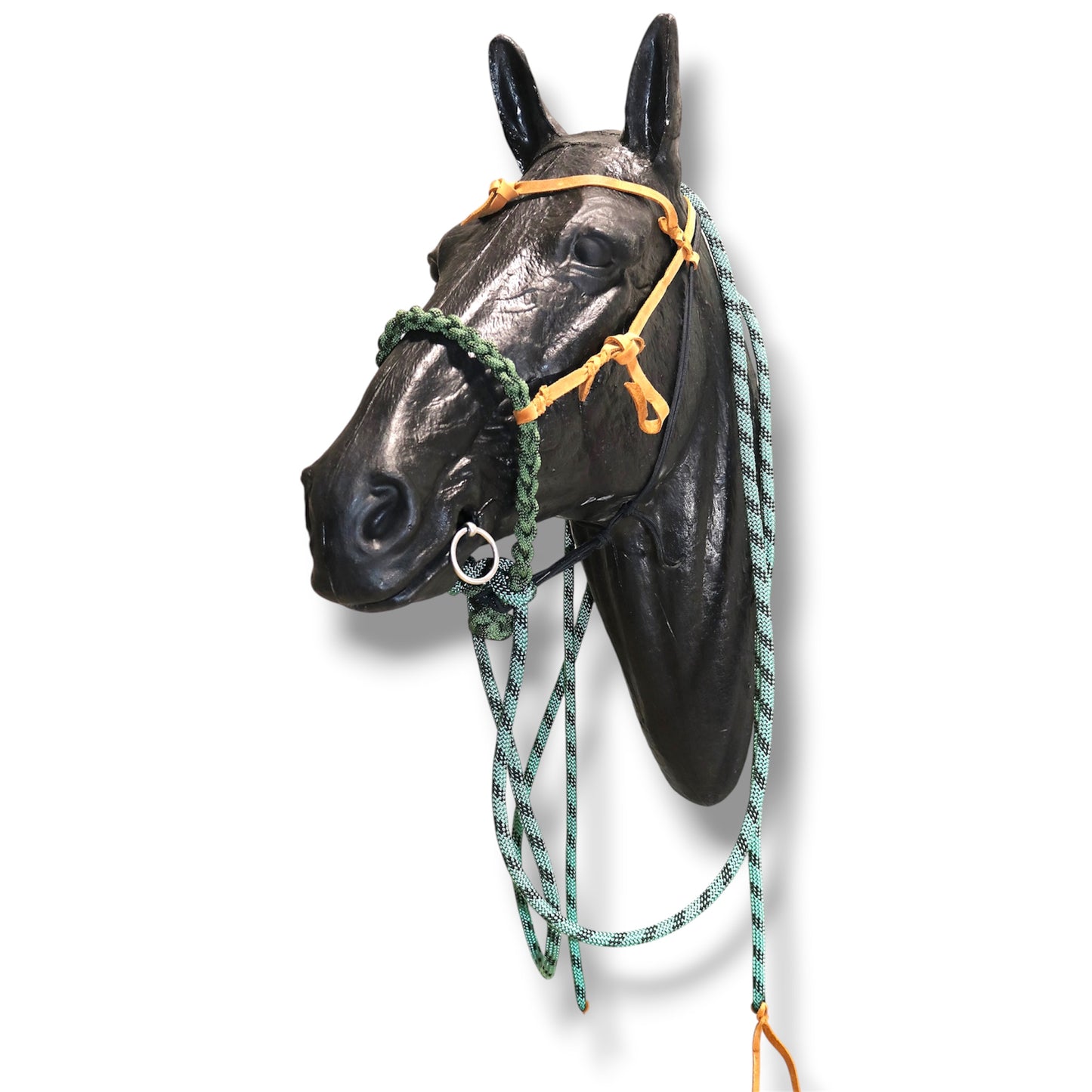 SCR Braided Loping Hackamore Set
