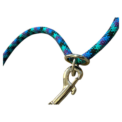 Fully Adjustable Leash & Collar Combination