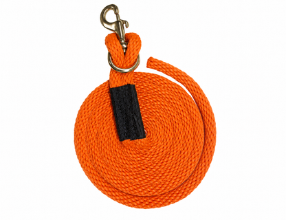 8 ft. Derby Lead with Removable Snap