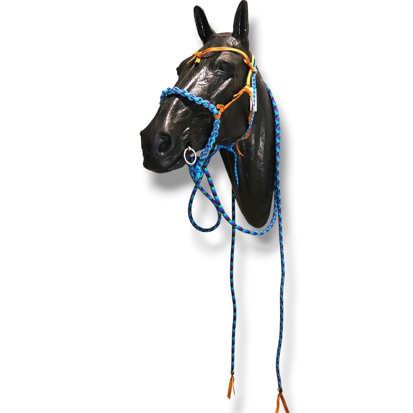 SCR Braided Loping Hackamore Set
