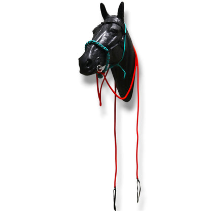 SCR Braided Loping Hackamore Set