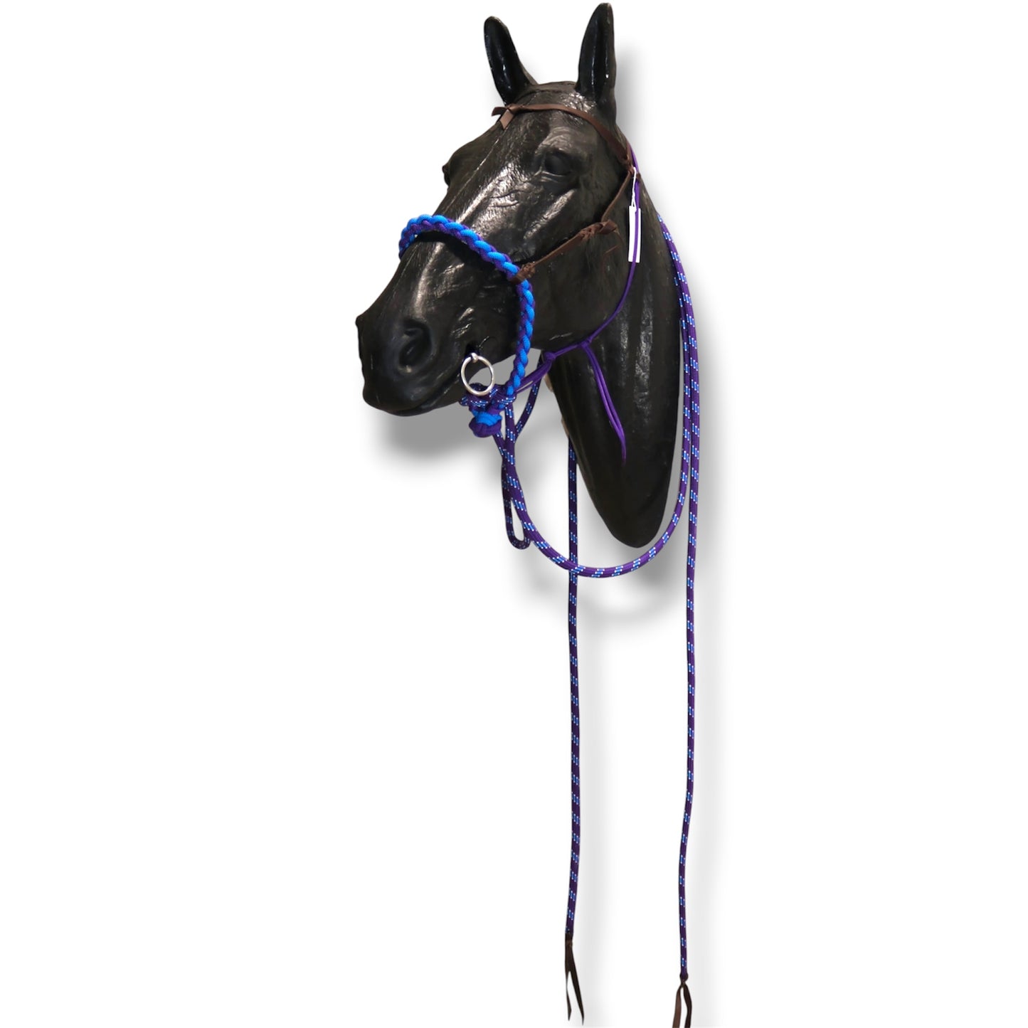 SCR Braided Loping Hackamore Set