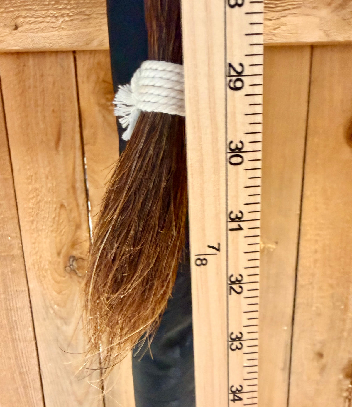 Dark Chestnut Faux Horse Tail Extension | Unused