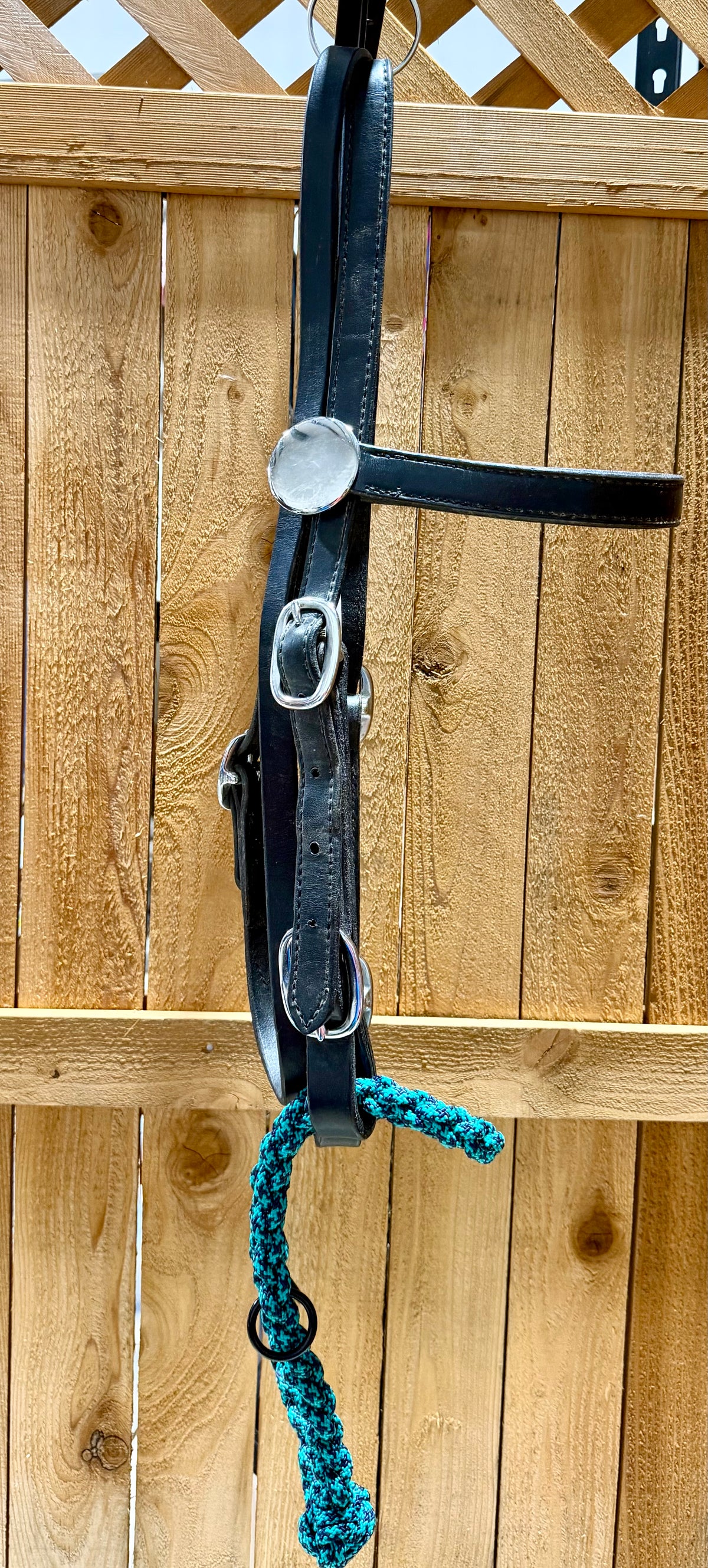 Used Black Leather Draft Horse Headstall with SCR Loping Hackamore