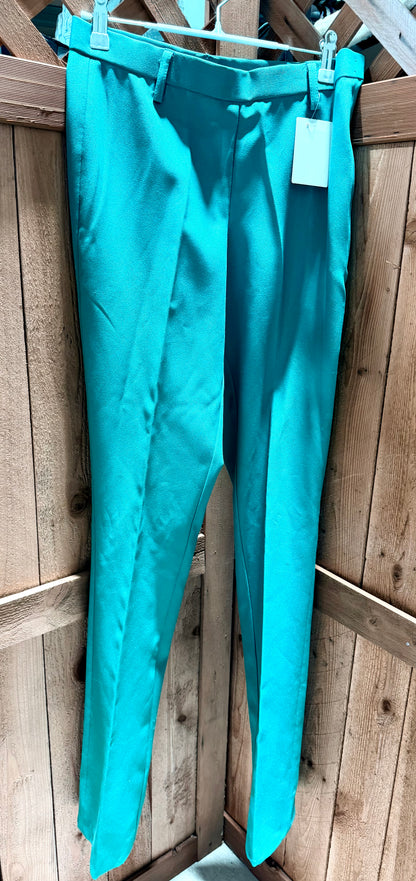 Hobby Horse Teal Show Pants • Size 26 Waist • Used Once