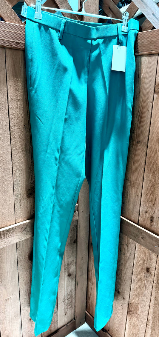 Hobby Horse Teal Show Pants • Size 26 Waist • Used Once