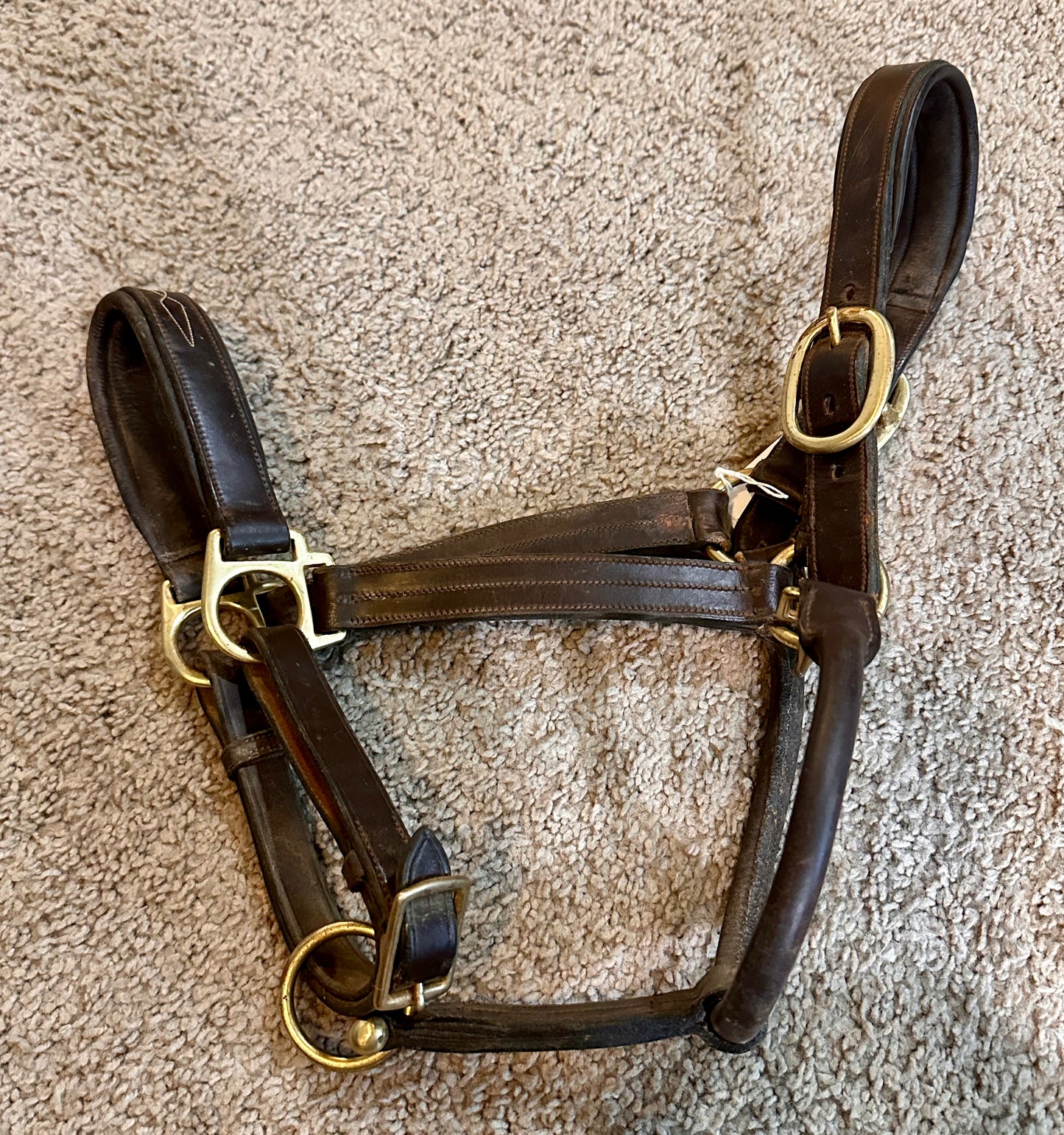 Used Padded Leather Halter