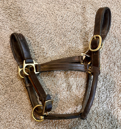 Used Padded Leather Halter
