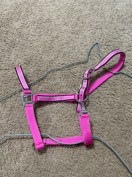Pink Nylon Halter w/ Overlay – Avg Horse