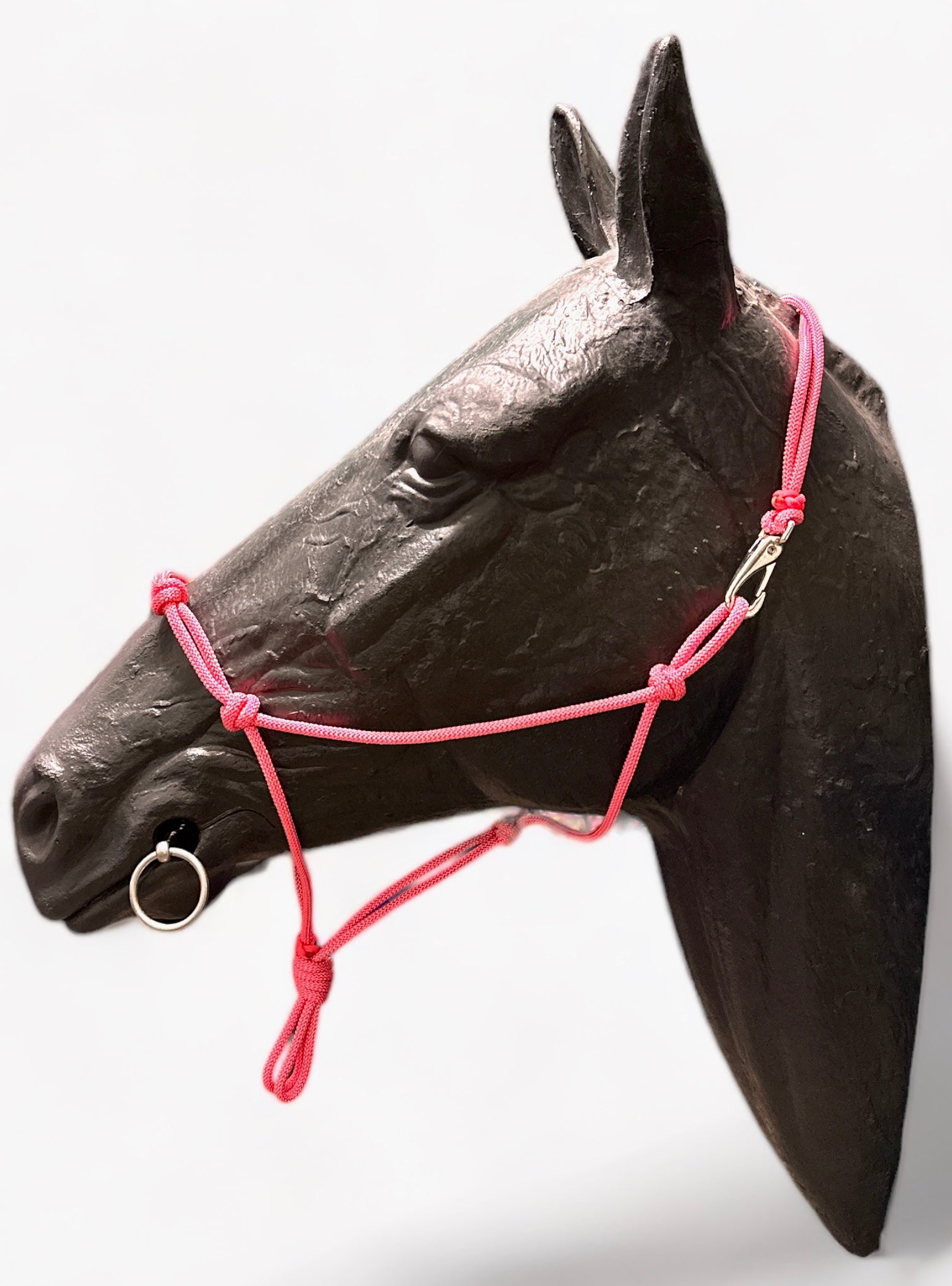 Quick Clip Rope Halter - Average Horse – Spotted M Tack