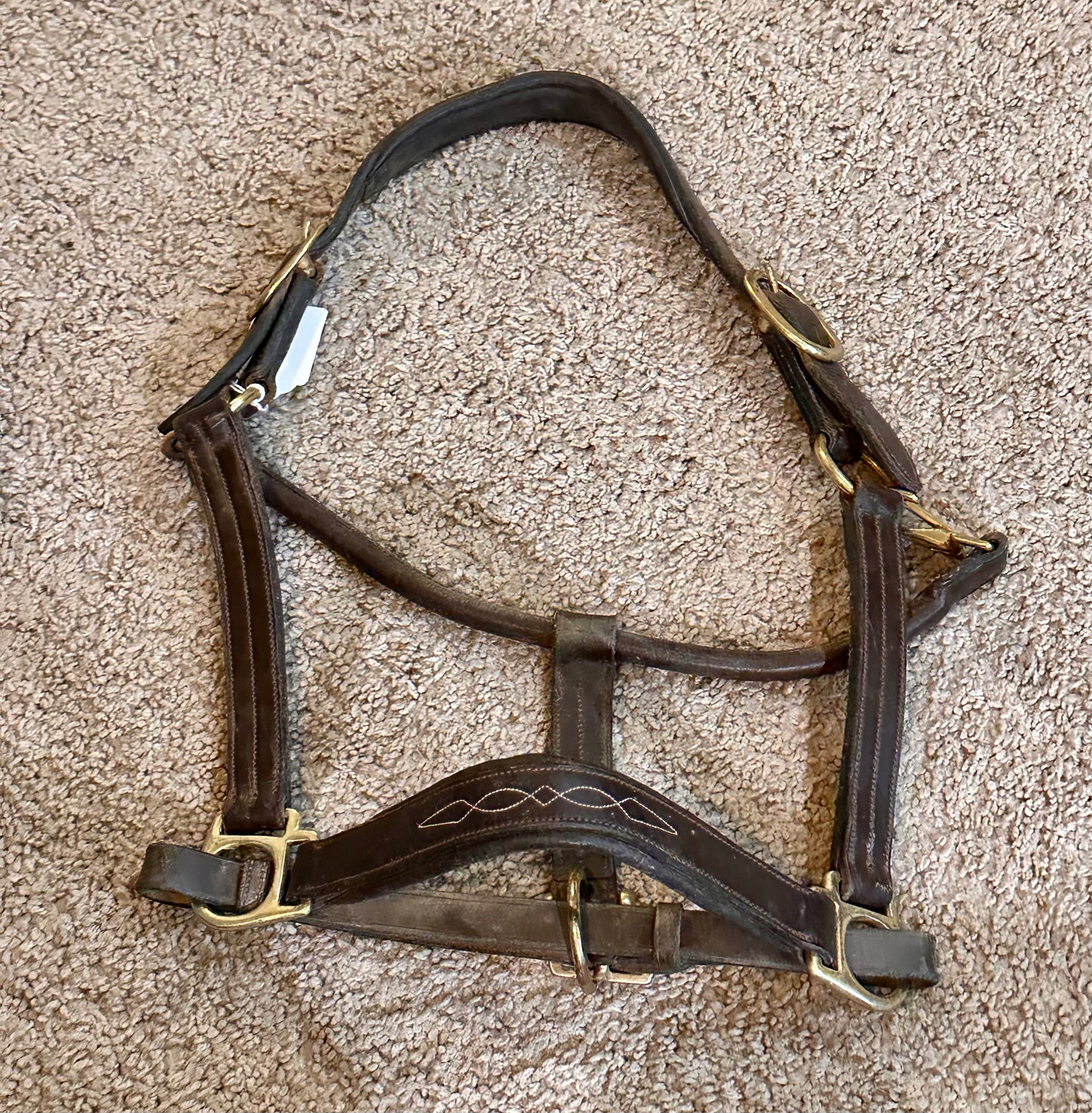 Used Padded Leather Halter