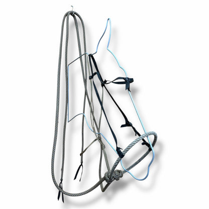 Loping Hack, Average Horse Sized