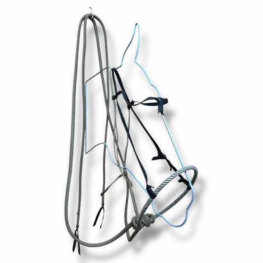 Loping Hack, Average Horse Sized