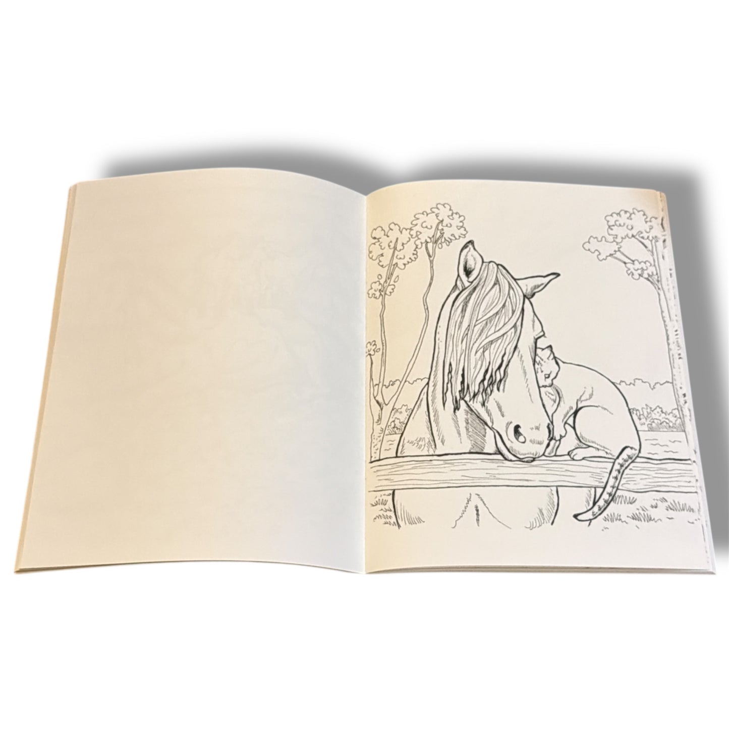 Horse Friends Coloring Book by Ellen C. Maze Sallas