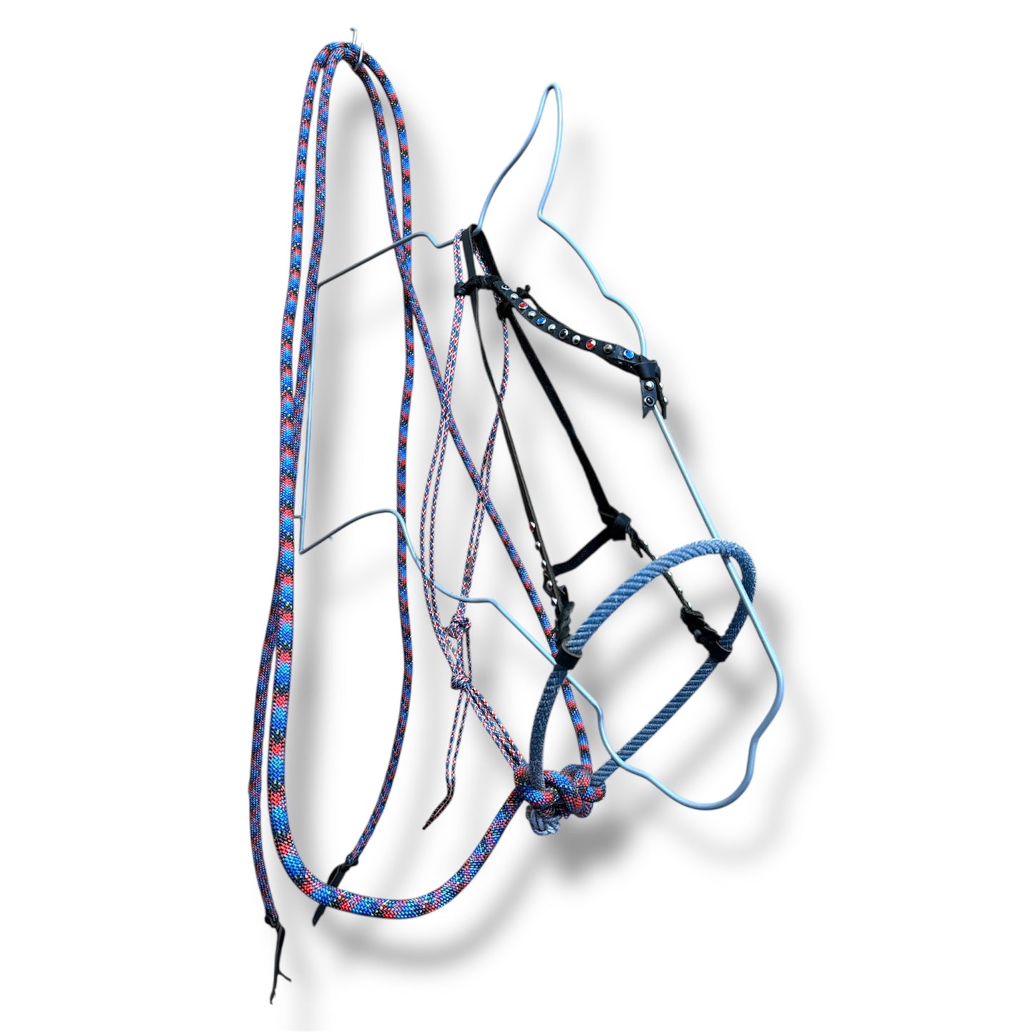 Loping Hack, Average Horse Sized