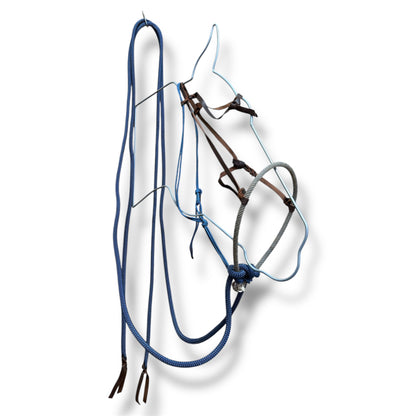 Loping Hack, Average Horse Sized