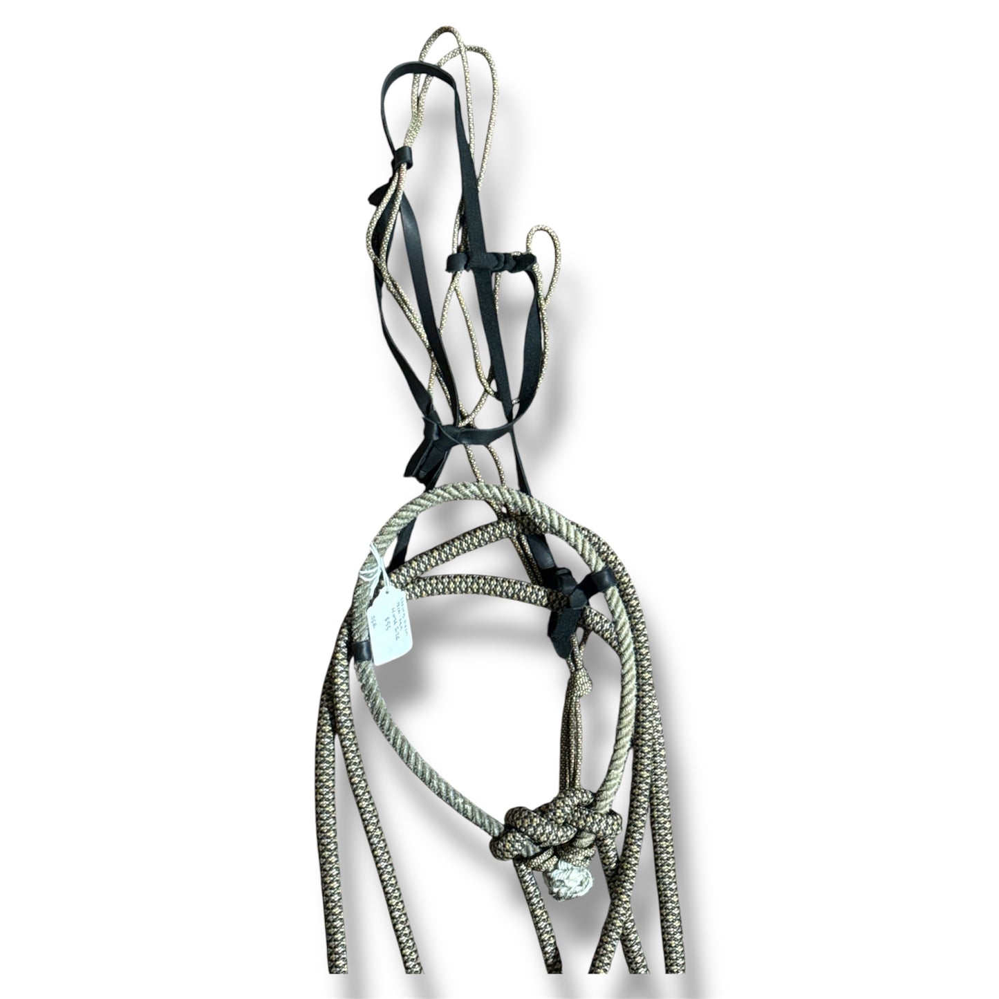 Loping Hack, Average Horse Sized