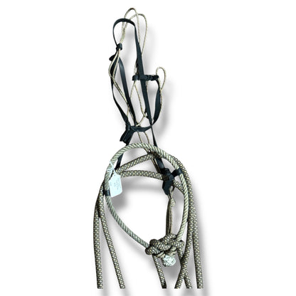 Loping Hack, Average Horse Sized