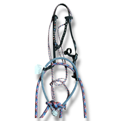 Loping Hack, Average Horse Sized