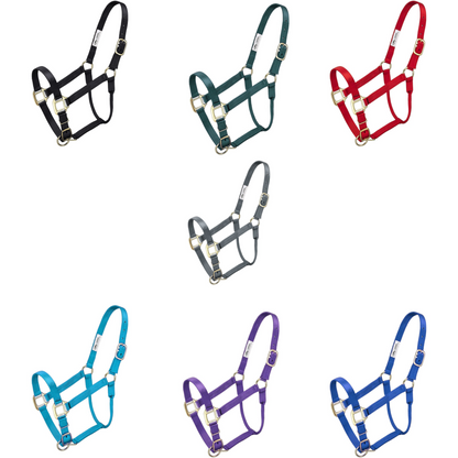 Premium Halter – Horse