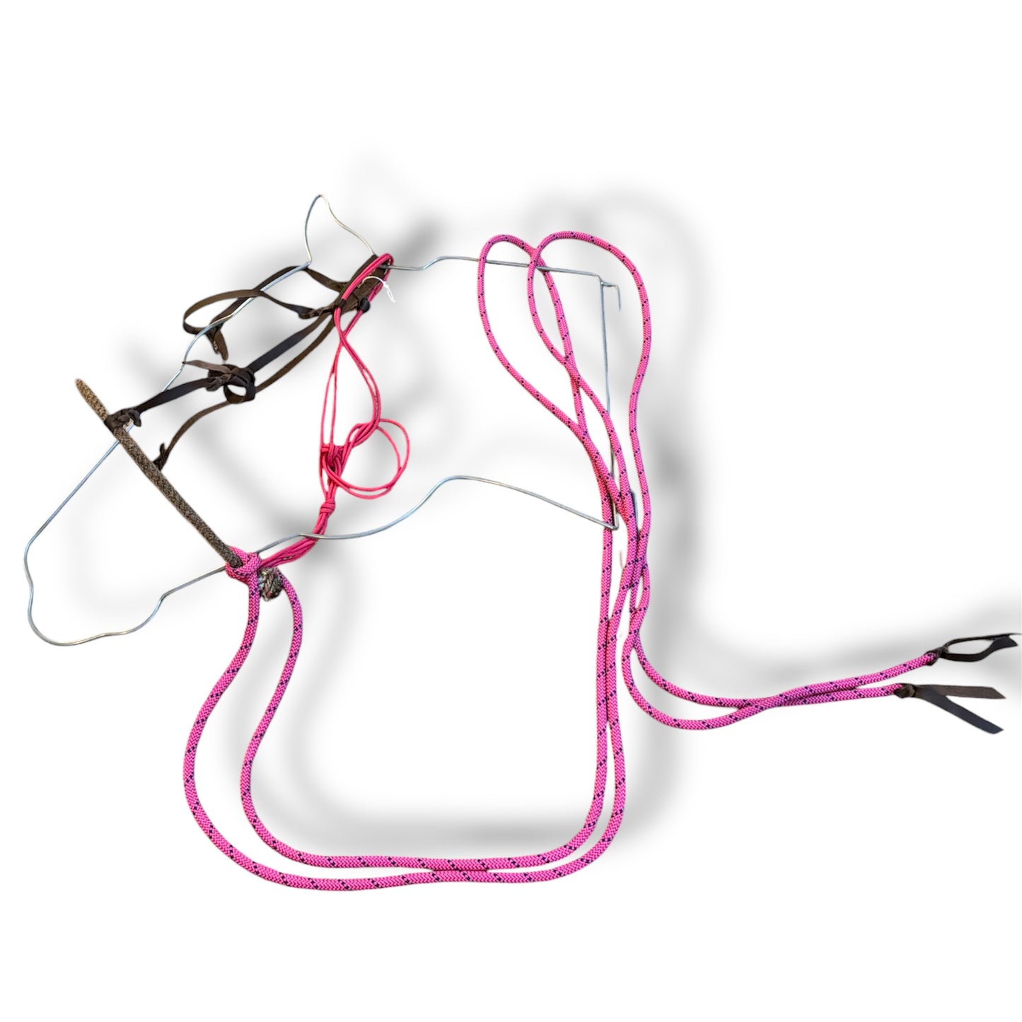 Loping Hack, Average Horse Sized