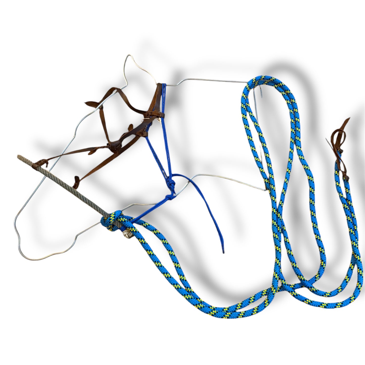 Loping Hack, Average Horse Sized