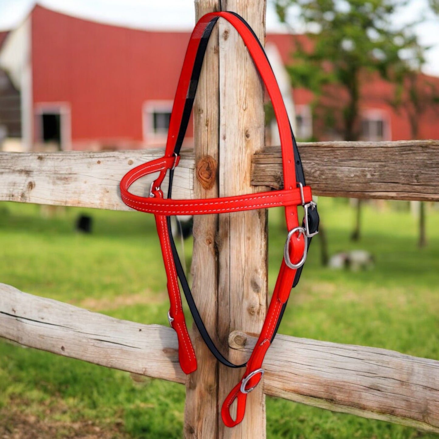 Western Biothane Headstalls