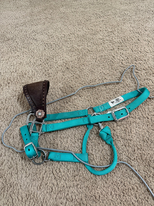 Weaver Bronc Halter – Turquoise – Leather Cowhide Noseband – Average Horse