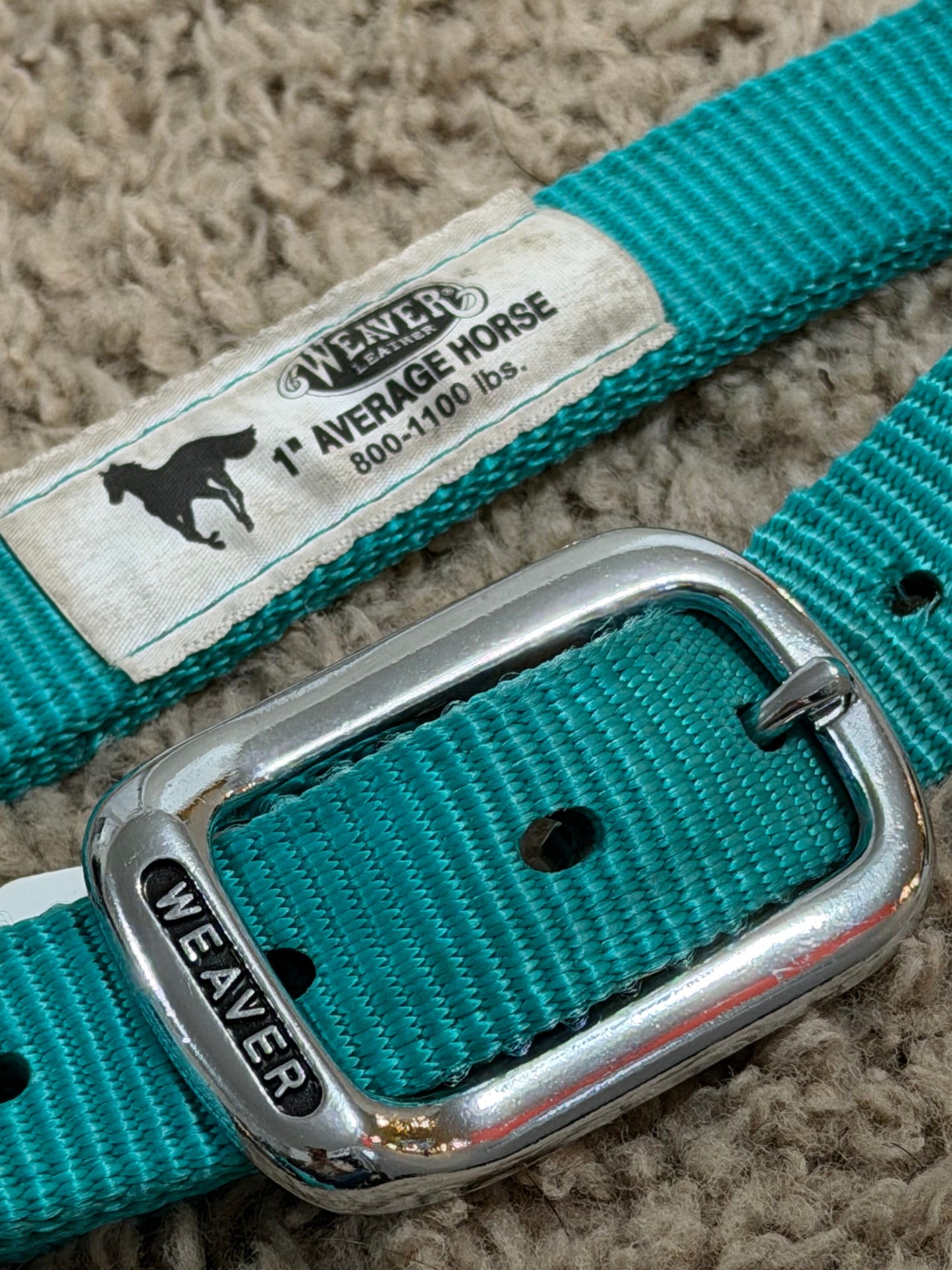 Weaver Bronc Halter – Turquoise – Leather Cowhide Noseband – Average Horse