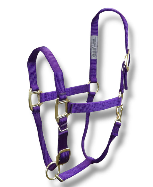 Signature Elite Nylon Horse Halter – Cob (Small)