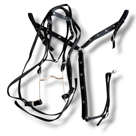 Used Black Padded Nylon Tack Set with Texas Star Conchos