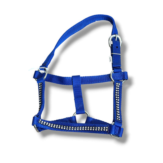 Foal Nylon Halter with Rhinestones – Royal Blue (Used)