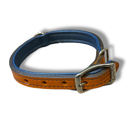 Circle T Layered Fashion Leather Dog Collar 14”